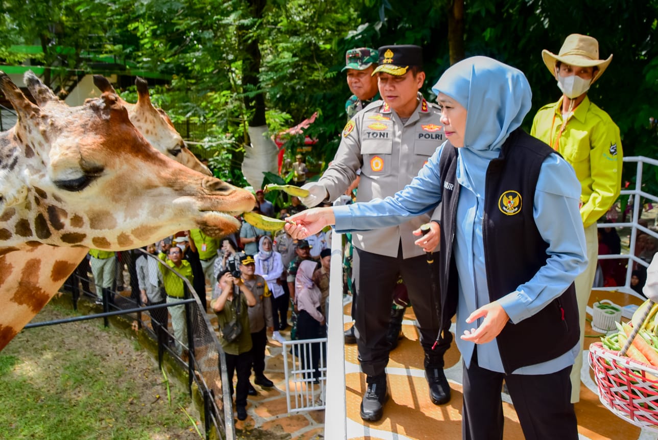 Destinasi Wisata Jatim Jadi Favorit Wisatawan Nusantara, Gubernur Khofifah: Total Transaksi Tembus Rp 487 Triliun Dalam Setahun
